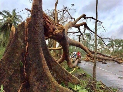 typhoon nina damage|Military facilities, installations damaged by Typhoon Nina in Bicol.